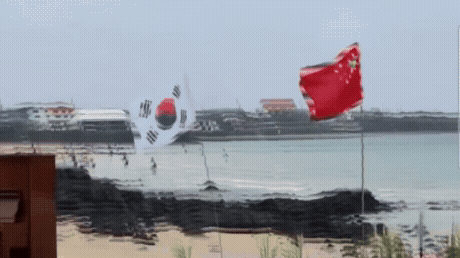 (화면출처:SNS 게시물 갈무리)