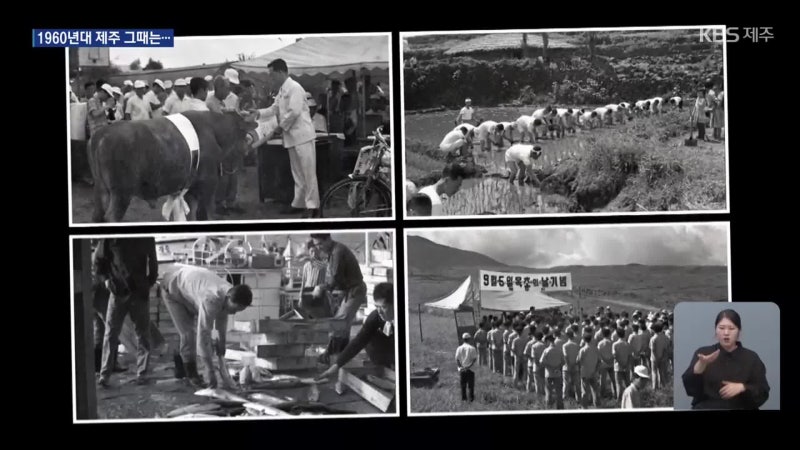 1960년대 <b>제주</b>는?…“<b>폭설</b> 속 등반 대회 이색 풍경”