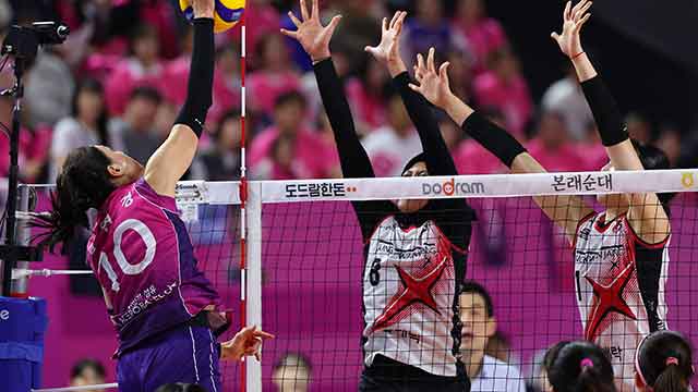 프로배구 <b>여자부 컵대회</b>는 정상 진행…외국인 선수는 출전 않기로