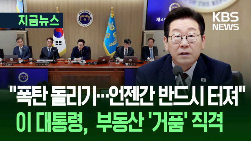 이 <b>대통령</b> “<b>부동산</b> 과대평가…언젠가 일본처럼 될 가능성 높다” [지금...
