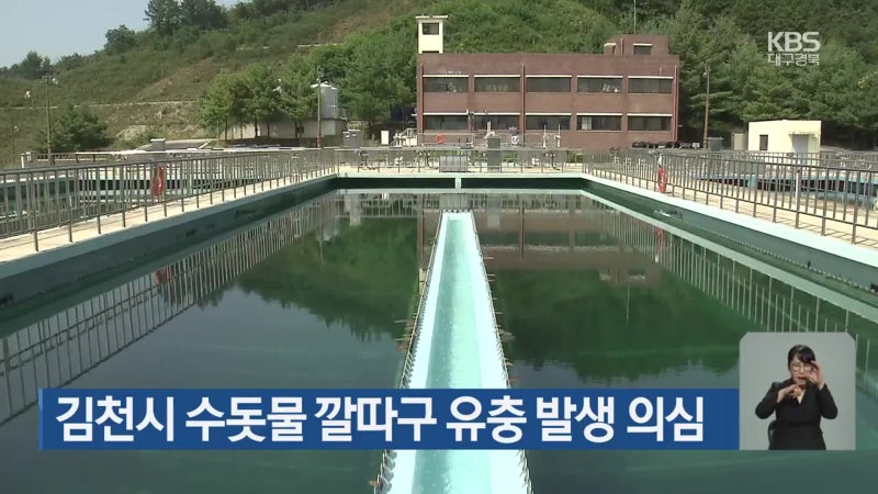 <b>김천</b>시 <b>수돗물 깔따구</b> 유충 발생 의심
