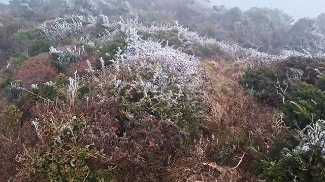 제주도 <b>한라산</b>서 올가을 첫 <b>상고대</b> 관측