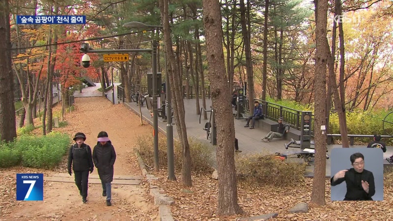 0012069612_001_20251119193425462.jpg?type=w800