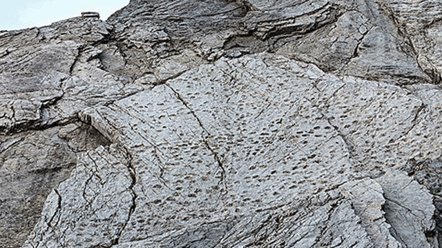 이탈리아 알프스에서 2억 년 전 공룡 발자국 대박 발견!