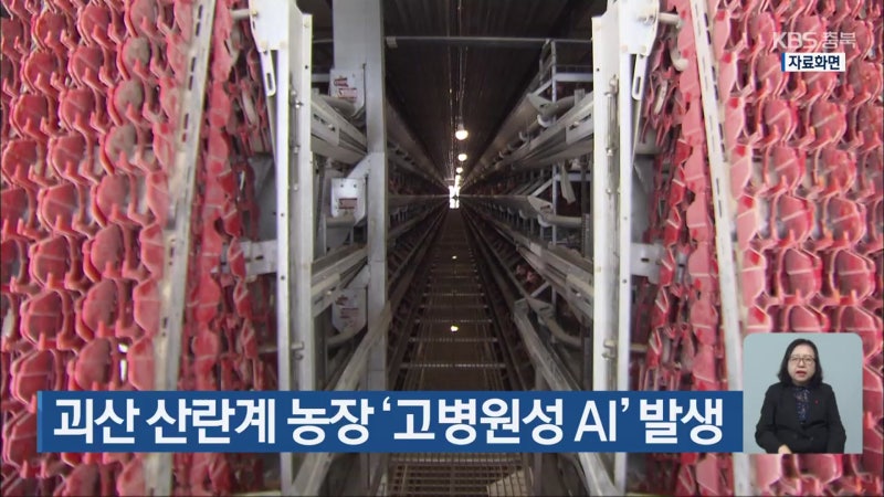 괴산 <b>산란계 농장</b> ‘<b>고병원성 AI</b>’ 발생