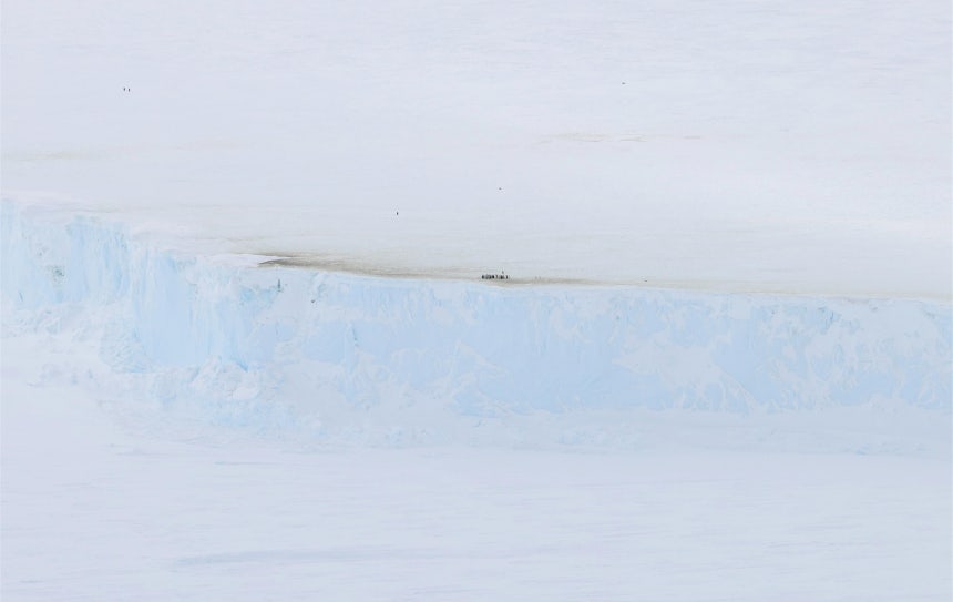 빙산 절벽에 가로막혀 이동하지 못한 황제펭귄들과 배설 흔적 (사진=극지연구소)