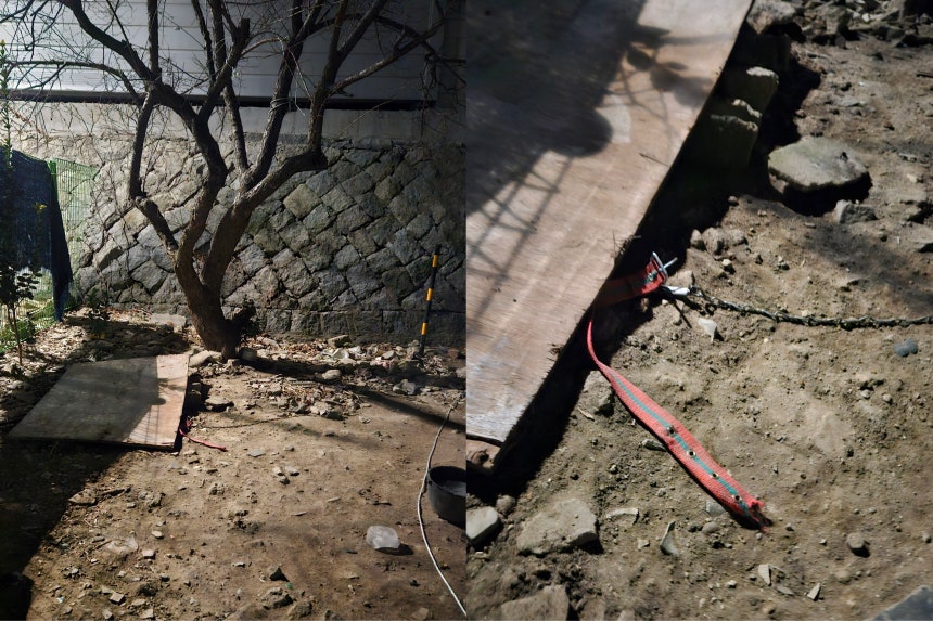 [정보/소식] 입양 보냈더니 "잡아먹었다?”…공공기관서 사라진 강아지 가족 | 인스티즈