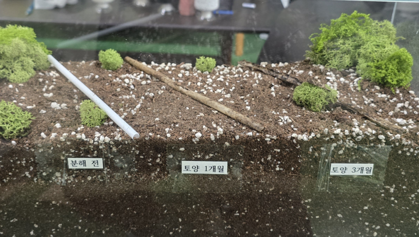 글로빅스 빨대는 화분용 퇴비에서 6개월 후 완전히 분해된다.