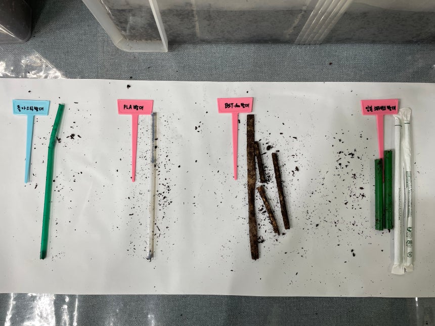 시중에 나와 있는 생분해(고온 설비에서 가능) 빨대와 비교했을 때 상온에서 썩는 제품은 글로빅스 빨대가 유일했다.