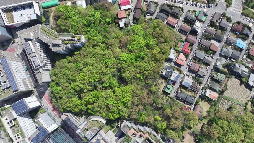 서울 강남구 자곡동 임야