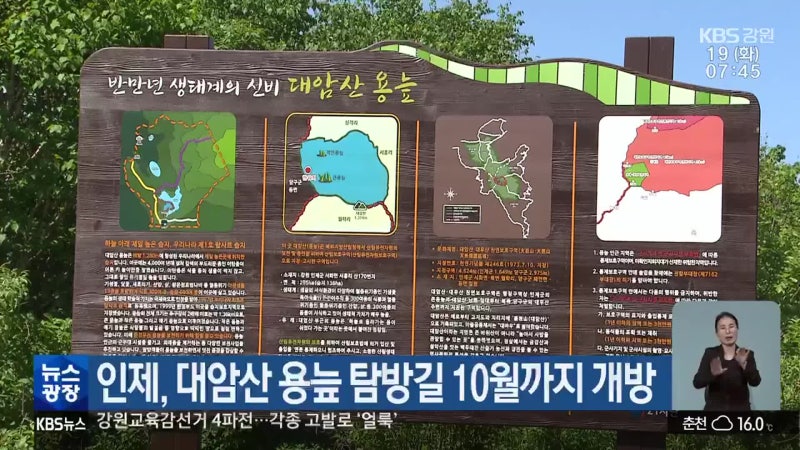 인생샷 건지러 가자! 1년에 딱 이때만 열리는 신비의 '용늪'