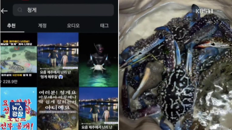 뉴스 이미지