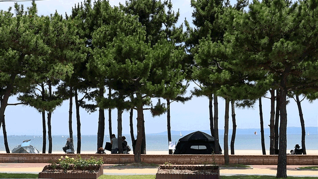 경북 <b>포항·경주</b>에 <b>폭염중대경보</b>…“야외활동 즉각 중지”