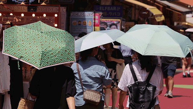 <b>서울 동남권</b>에 <b>폭염주의보</b>…시, 종합지원상황실 재가동