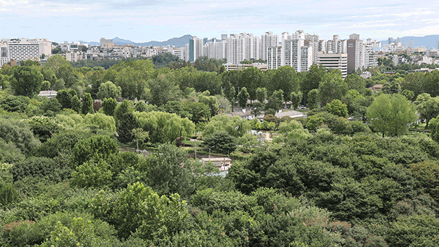 서울시 “<b>용산공원</b> 훼손해 <b>주택 공급</b>, 매우 신중해야”