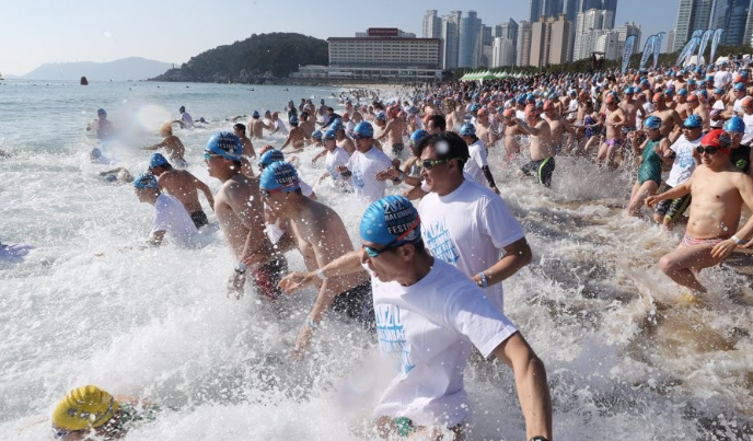 "'인간 북극곰'들의 입수 시작"…오늘 '<b>해운대 북극곰축제</b>' 개막