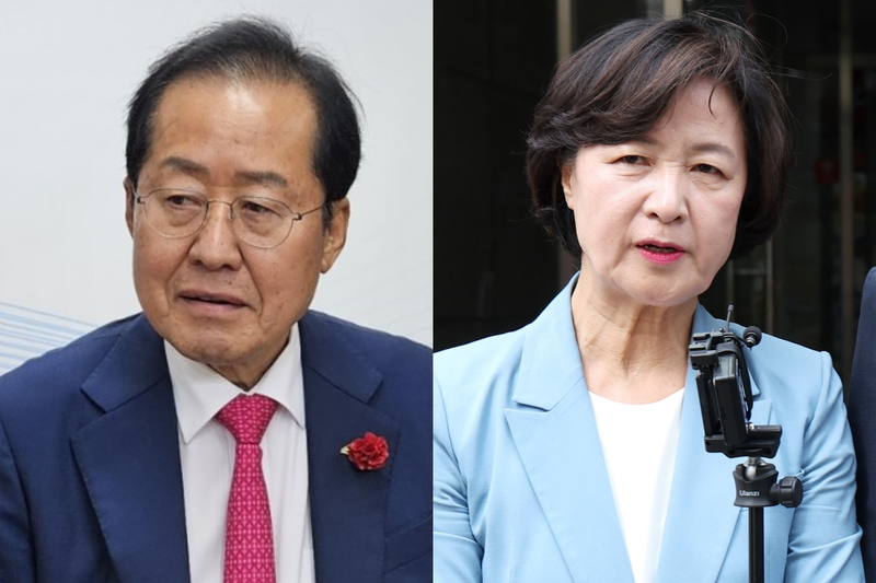 '<b>추미애 국회의장</b>' 질문에 홍준표 "할 만하다"