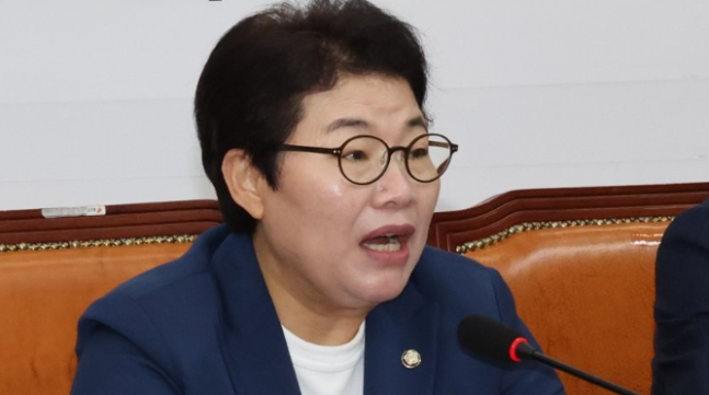 Lim Yi-ja, member of the People Power Party (Secretary of the National Assembly's Environment and Labor Committee) / Photo = Yonhap News