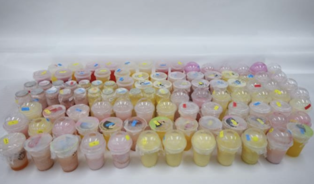 Smoothies collected for sugar content analysis / Photo provided by Seoul City