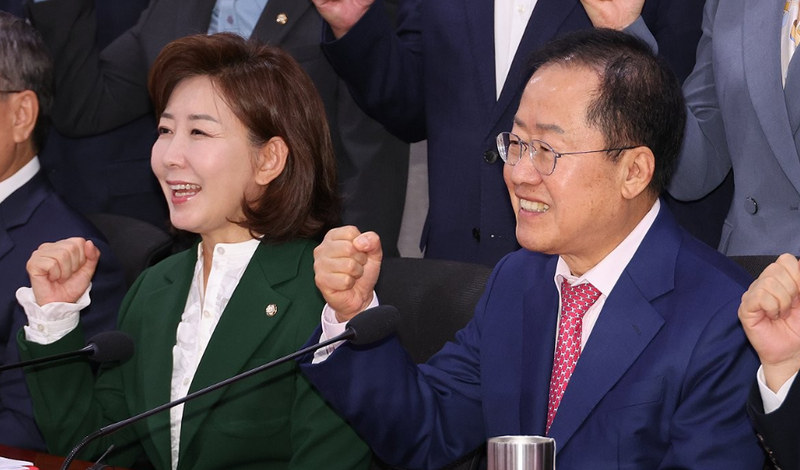 <b>홍준표</b> "용병이 당 망쳐...내년 초 식물정부 될듯"