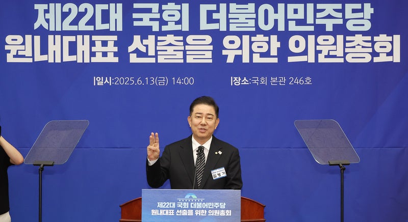 민주당 새 <b>원내대표</b> <b>김병기</b> <b>선출</b>…'이 대통령 위한 블랙요원'