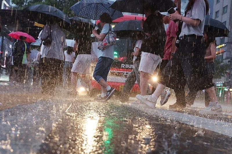 코레일 "<b>경부선</b>·장항선·서해선·1호선 일부 구간 <b>운행 중지</b>"