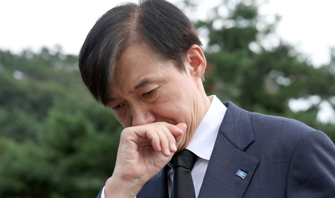 <b>조국</b>, <b>노무현 묘역 참배</b> 중 '글썽'…"초심 잃지 않겠다"
