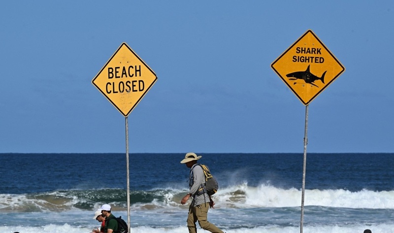 '상어 출현', '해변 폐쇄' 표지판이 설치된 시드니 바닷가 / 사진=연합뉴스