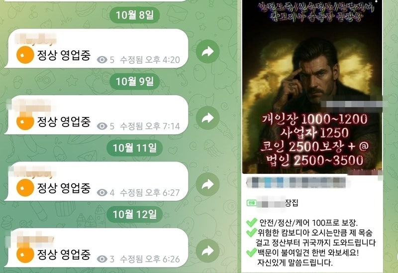 정상 영업을 알리며 캄보디아 출국자를 모집하는 장집. [텔레그램 캡처] / 사진=연합뉴스