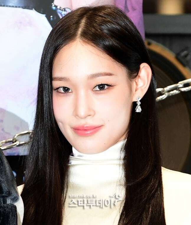 올데이프로젝트 애니./ 사진=스타투데이 DB