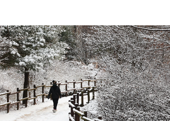 눈 쌓인 산책로 걷는 시민 / 사진 = 연합뉴스