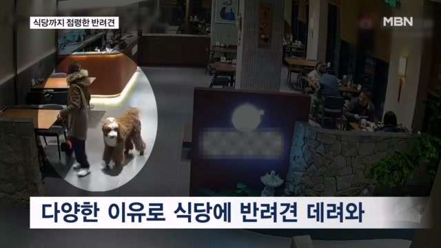 "우리 아이 생일이에요"…'반려견 손님'에 커지는 불만