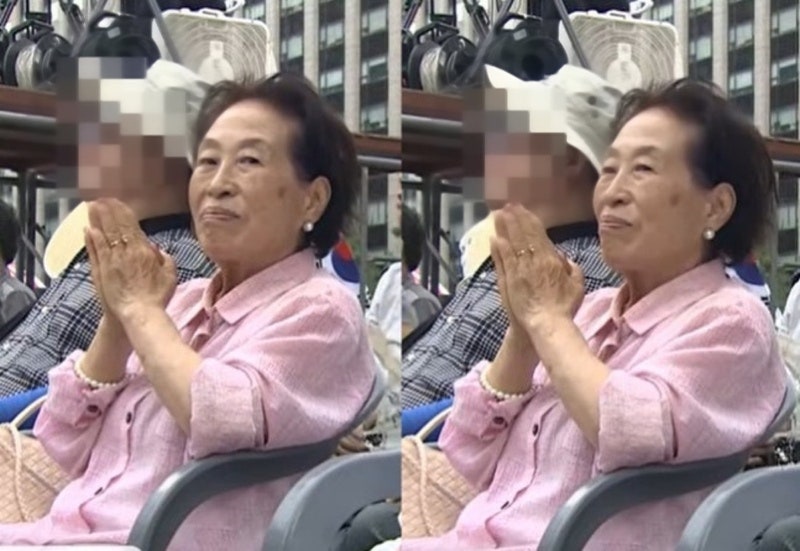 정청래 손잡고 유세 다녔던 전원주…전한길 집회서 포착