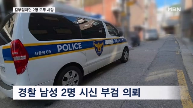 서로 칼부림하던 2명 모두 사망…10대 아들이 흉기로 어머니 살해