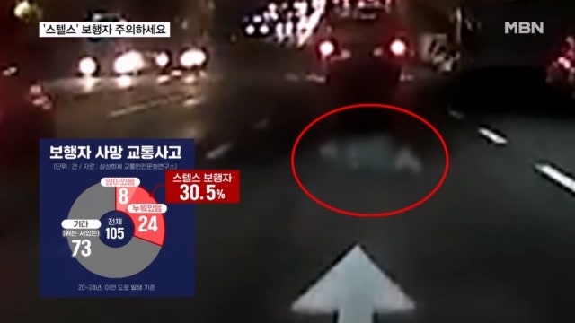도로에 눕거나 앉은 '<b>스텔스</b>' <b>보행자</b> 사고…가을철 특히 조심