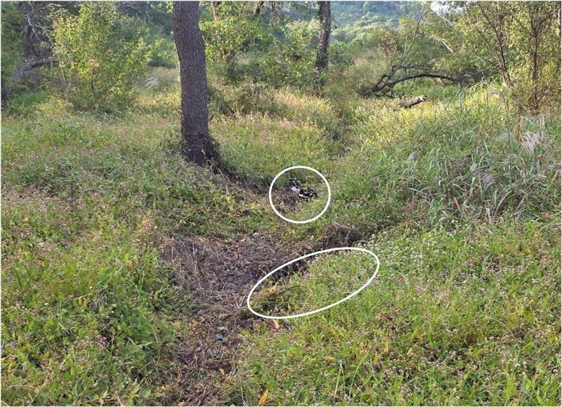 <b>DMZ</b> <b>사고</b>현장서 또 <b>지뢰</b> 발견…"기존 목격한 것 아닌 별개"