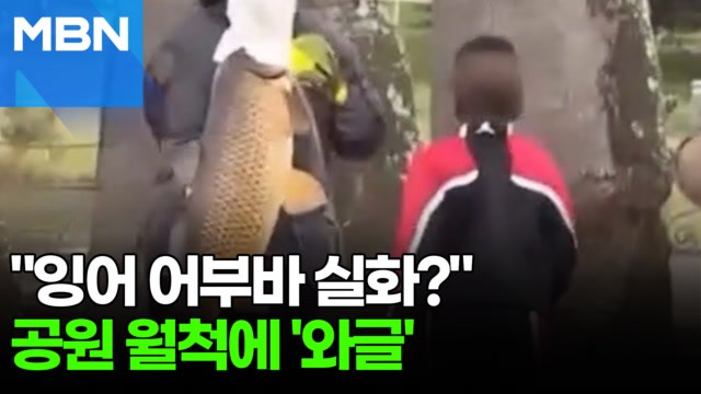 공원에서 거대 잉어 업고 당당하게 퇴근? 외래종 퇴치냐 생태 파괴냐