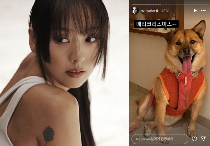 [SCin스타] <b>이효리</b>, "우리 중기 더 예뻐졌다"더니…<b>찐사랑</b>은 따로 있었네