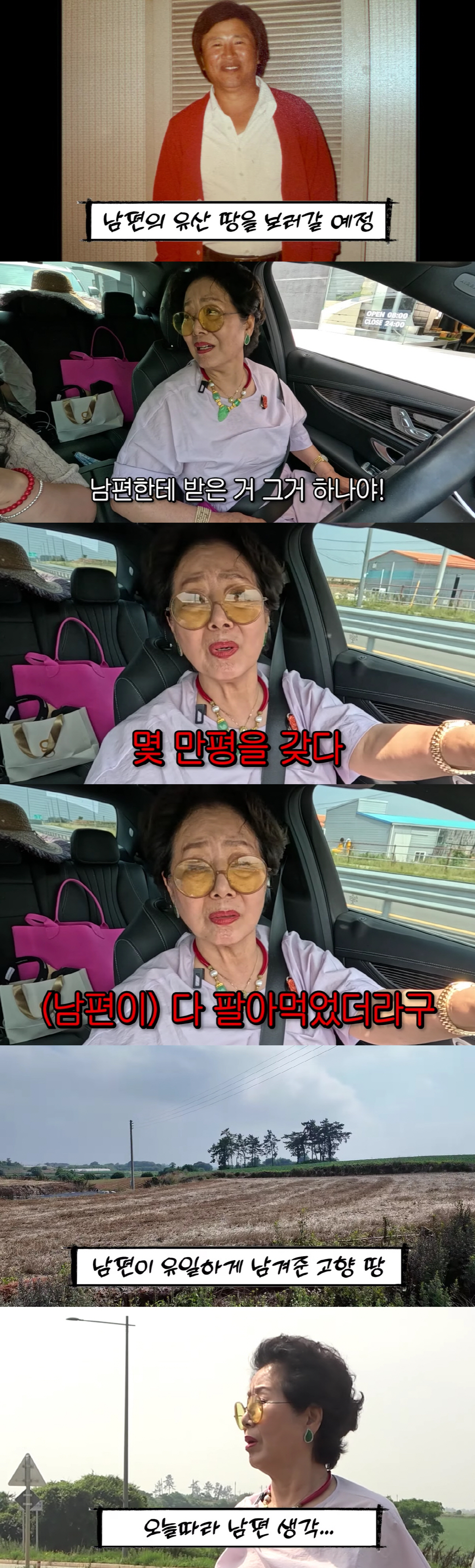 '81세' <b>선우용여</b>, <b>900평 땅</b> 물려받았다 "남편이 남긴 유일한 <b>유산</b>"