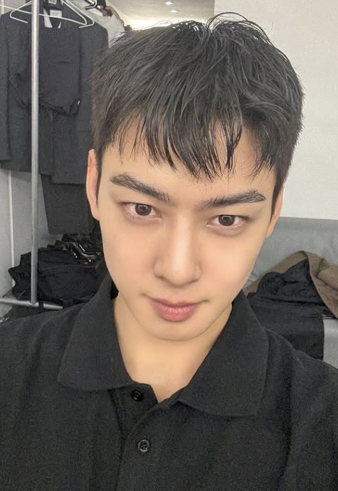 <b>차은우</b>, 애틋한 <b>군입대</b> 심경 "나를 잊지 말아요"[SC이슈]