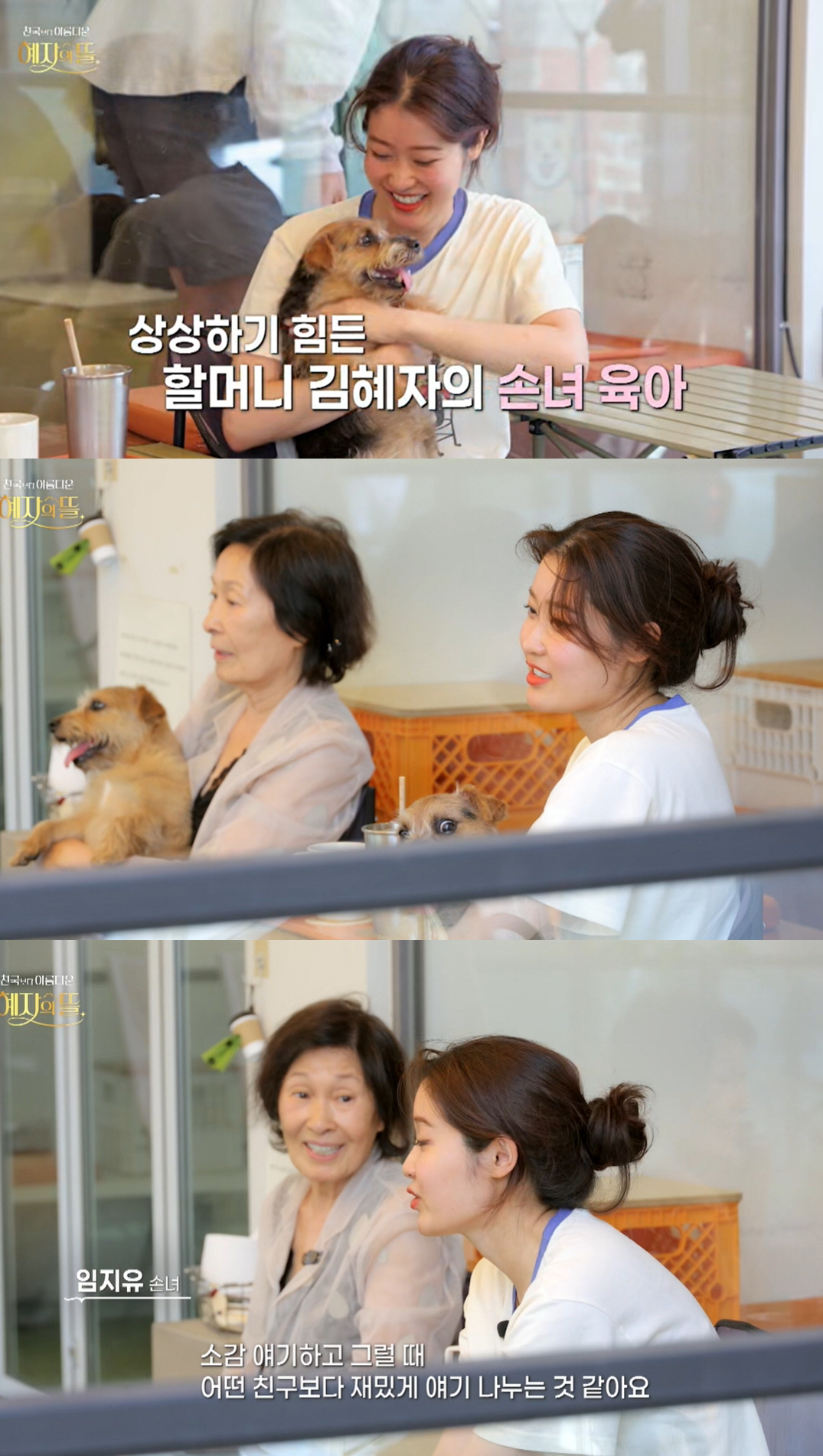 <b>김혜자</b>, 붕어빵 <b>손녀</b> 최초공개...'<b>하버드 졸업</b>+예비의사' 엘리트코스 (혜...