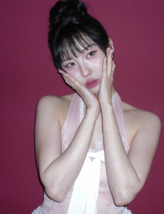 <b>원더걸스 재결합</b> 빠진 <b>선미</b>, 불화설 입 열었다 "美 데려간 박진영도 무...