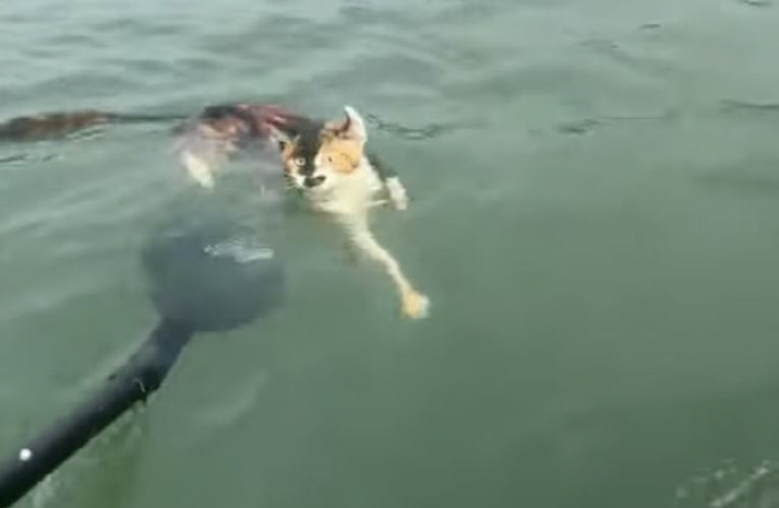 사진출처=유튜브, 사우스차이나모닝포스트