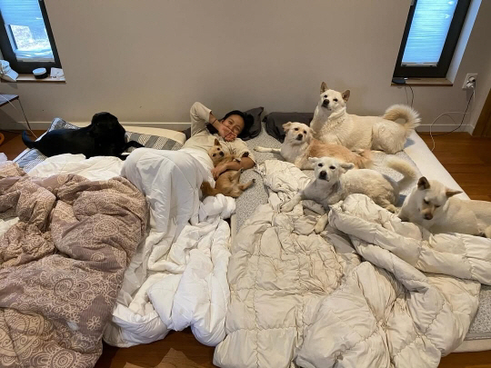 이효리, 엉망진창 집 상태에 쏟아진 '위생' 비난…"개털 가득 지저분" 도 넘은 훈수