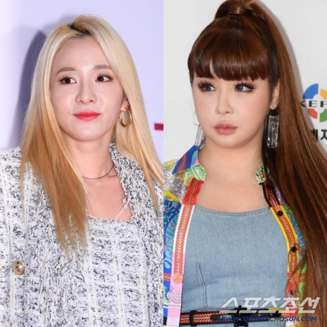 [공식]산다라박, 박봄 '마약 주장'에 입 열었다…"오히려 건강 걱정"