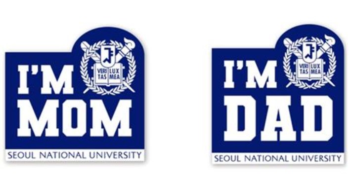"나는 자랑스러운 부모"…'<b>서울대생</b> 가족 <b>스티커</b>' 인권위 진정
