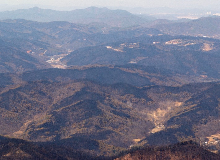 지난 3월 29일 경북 의성군 단촌면과 안동시 일직면 일대 산림이 까맣게 타 있다. 연합뉴스