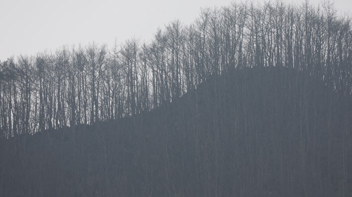 경남 산청지역 산불 장기화로 27일 오후 산청군 시천면 야산에 산불 흔적이 가득하다. 연합뉴스
