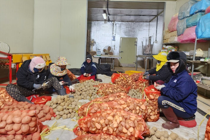 Korean news article image