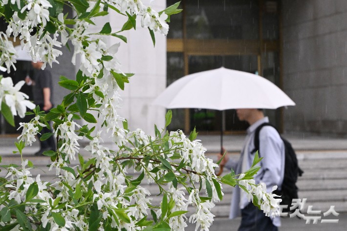 우산을 쓴 시민들이 발걸음을 재촉하고 있다.류영주 기자